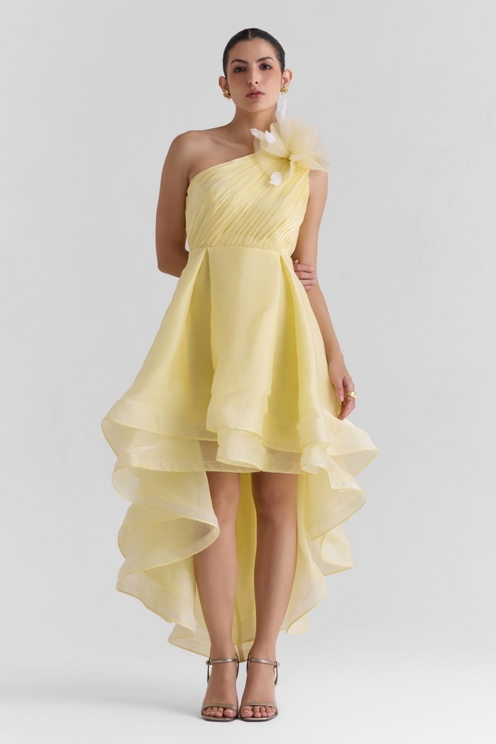 Sheen Organza Midi Dress