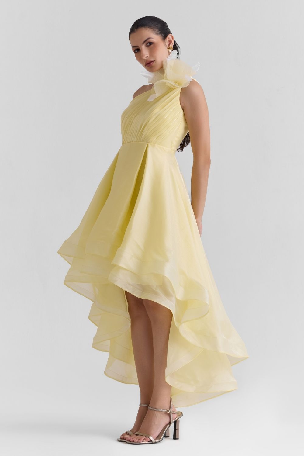 Sheen Organza Midi Dress