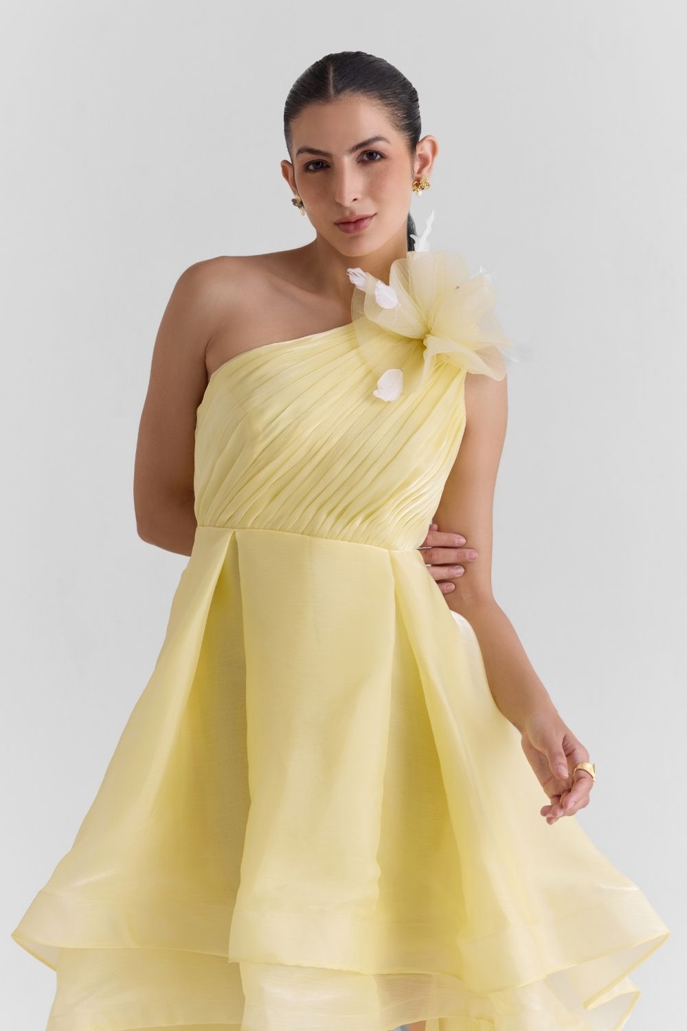 Sheen Organza Midi Dress