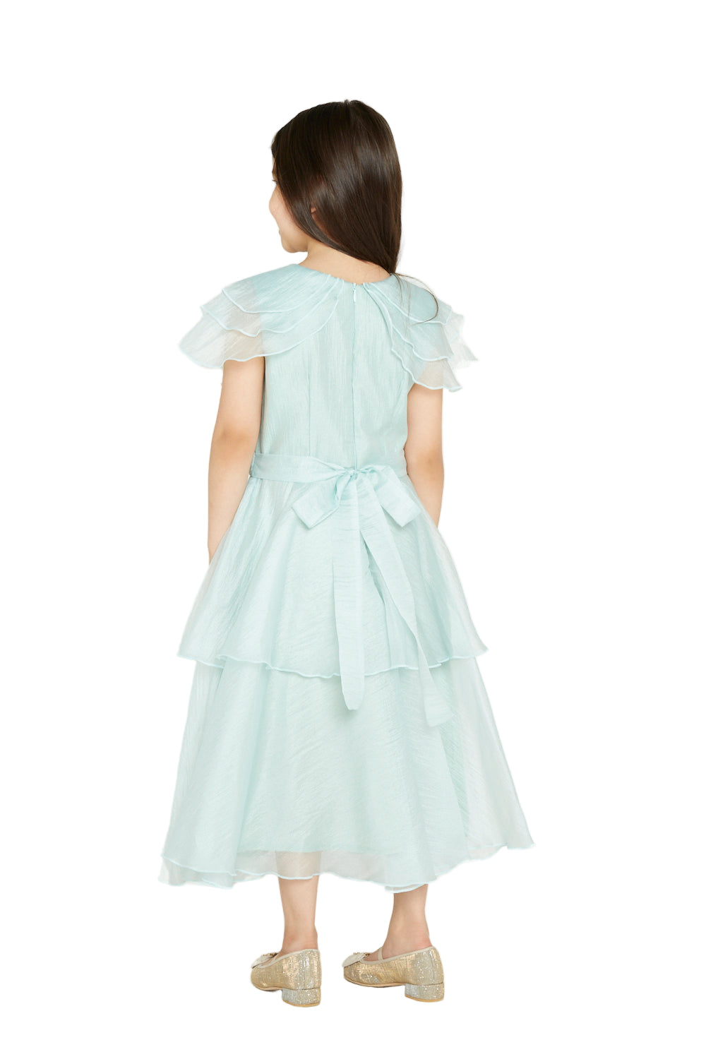 Layered Organza Elegant Dress