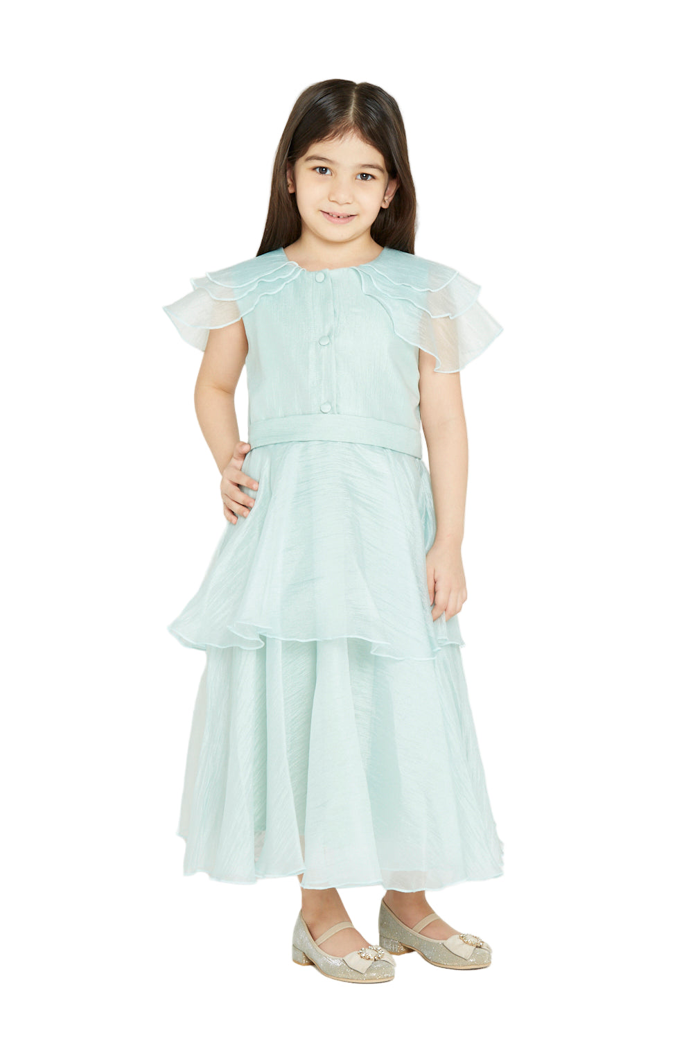 Layered Organza Elegant Dress
