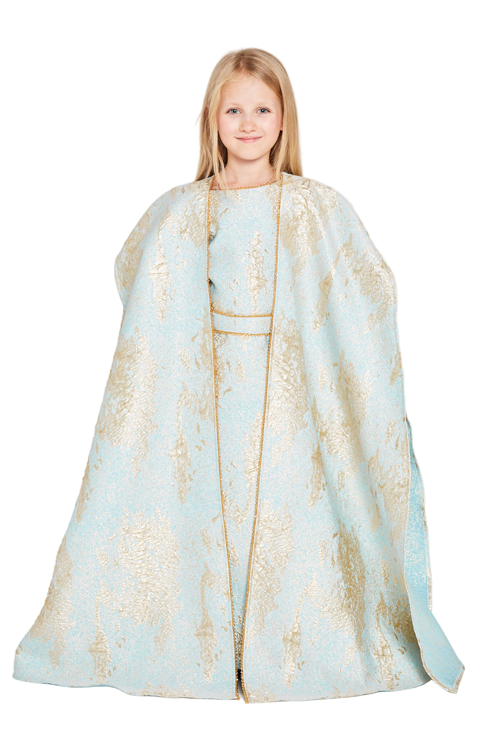 Brocade Jacquard Metallic Pattern Gown