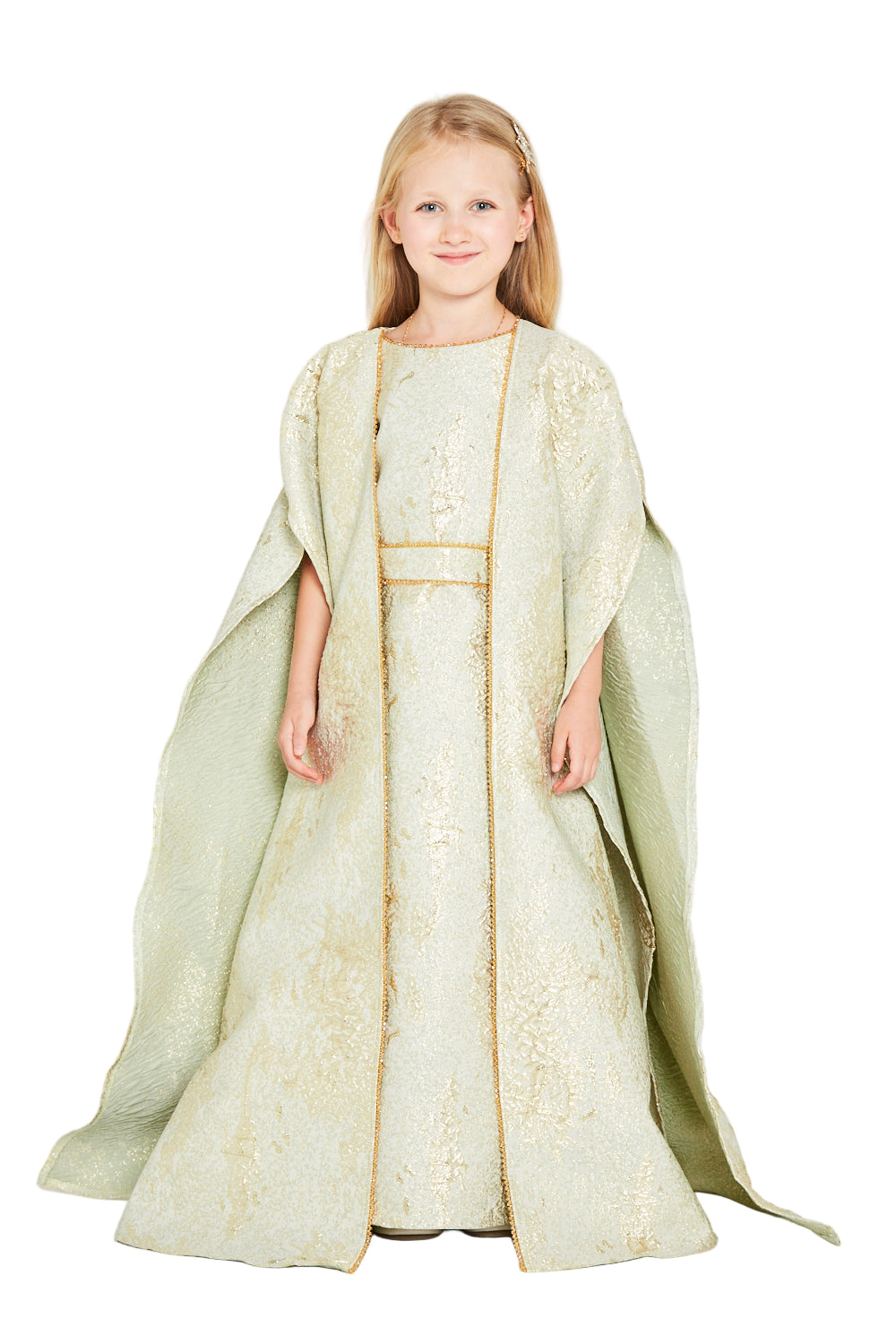 Brocade Jacquard Metallic Pattern Gown