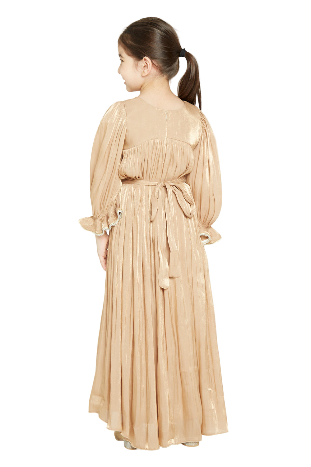 Shimmer Detail Party Gown